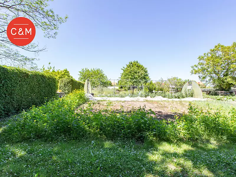 Terrain, 477 m²