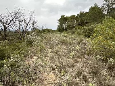 Terrain, 9 590 m²