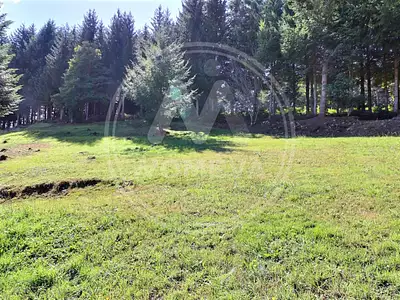 Terrain, 1 034 m²