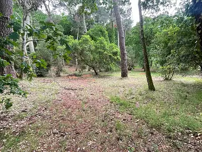 Terrain, 1 053 m²