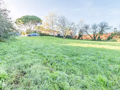 Terrain, 693 m²