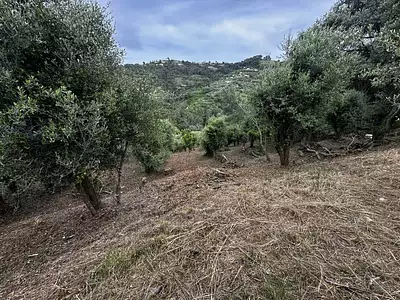 Terrain, 2 450 m²