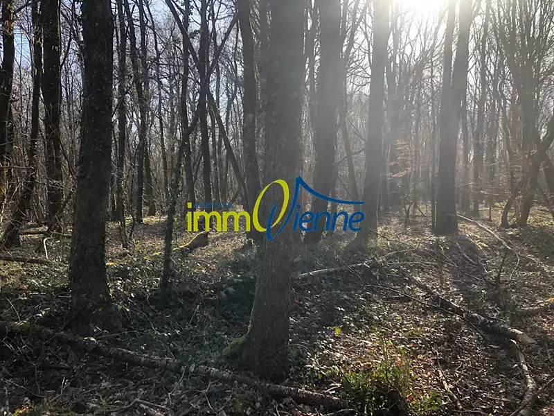 Terrain, 56 600 m²