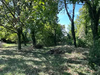 Terrain, 1 650 m²