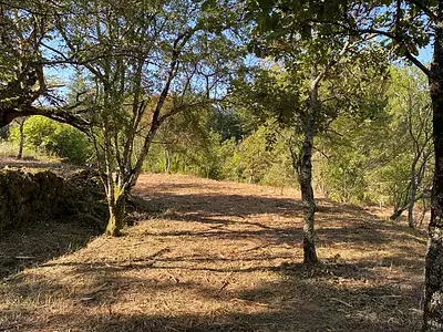 Terrain, 800 m²