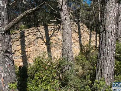 Terrain, 42 302 m²