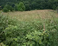 Terrain, 1 531 m²