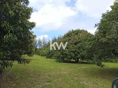 Terrain, 3 000 m²