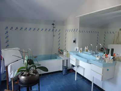 Maison, 300 m²