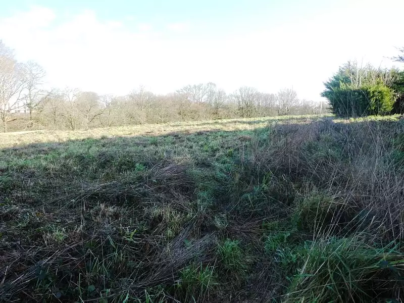 Terrain, 799 m²