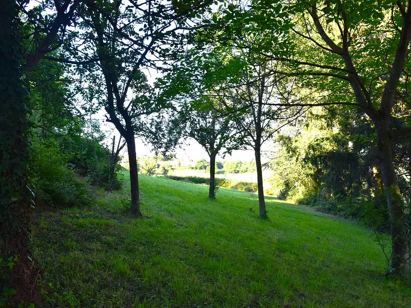 Terrain, 1 245 m²