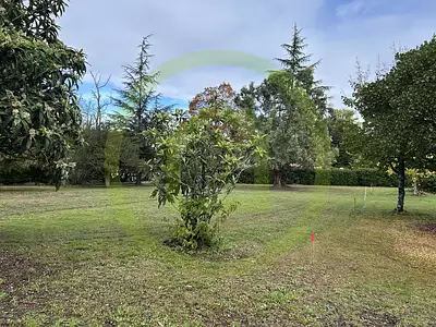 Terrain, 1 500 m²