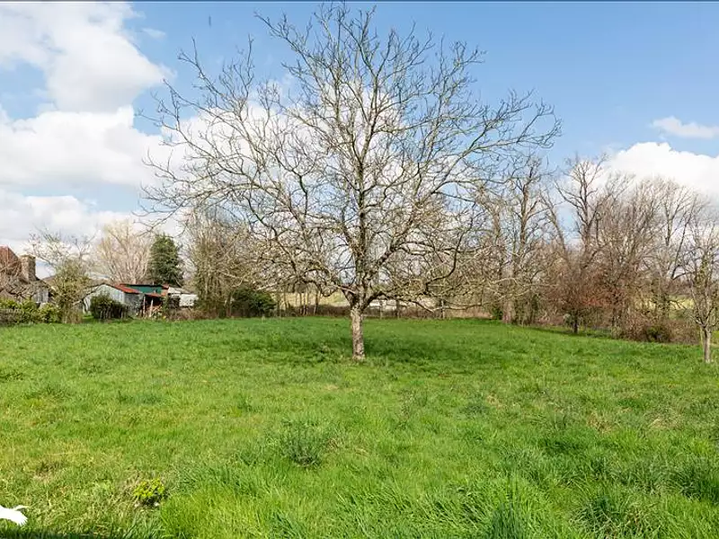 Maison, 176 m²