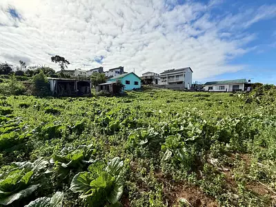 Maison, 68 m²