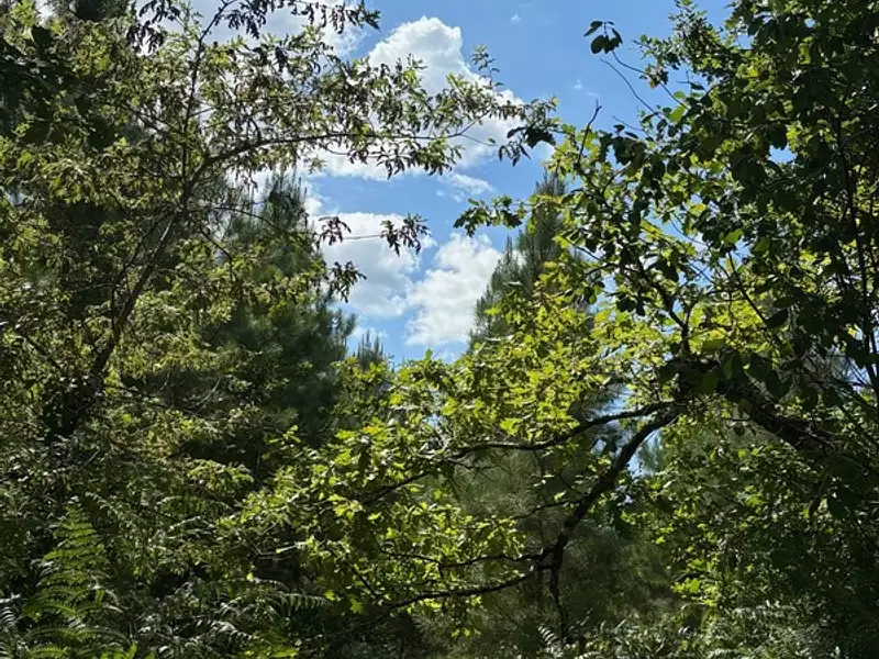 Terrain, 115 720 m²