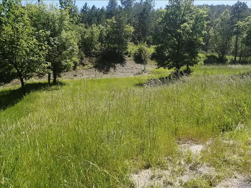 Terrain, 982 m²