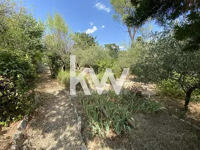 Terrain, 314 m²