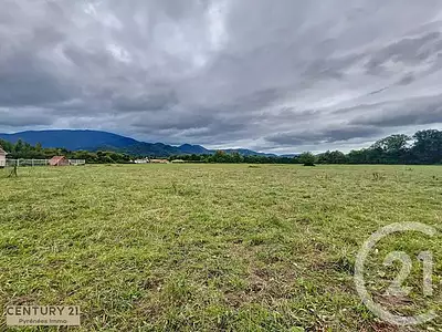 Terrain