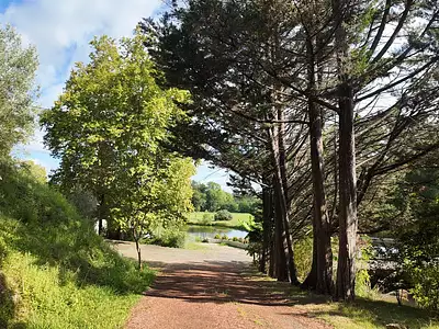 Maison, 300 m²