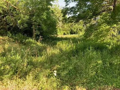 Maison, 300 m²
