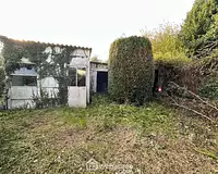 Terrain
