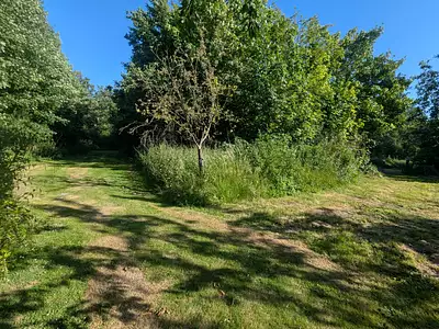 Terrain, 4 300 m²
