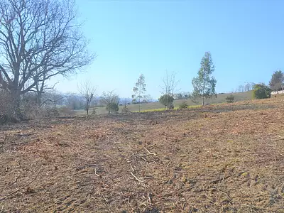 Terrain, 1 138 m²