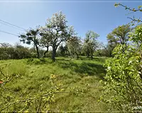Maison, 62 m²