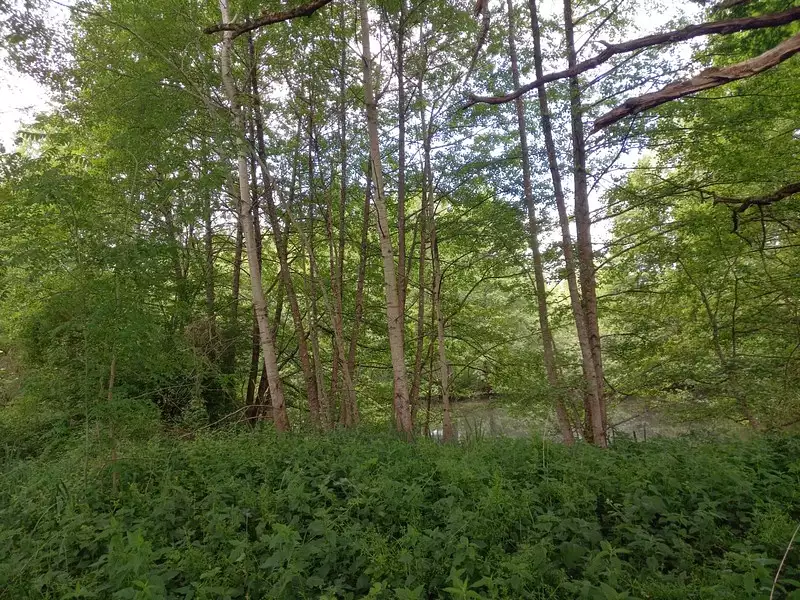 Terrain, 405 m²