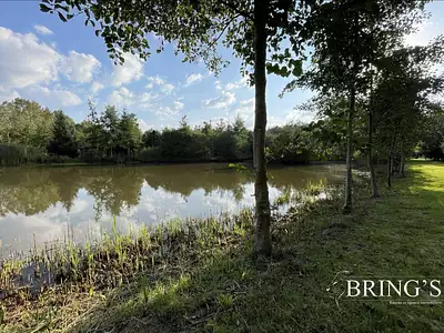 Terrain, 47 800 m²