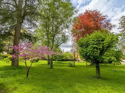 Maison, 303 m²