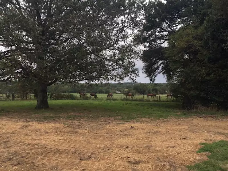 Terrain, 3 727 m²