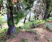 Terrain, 910 m²