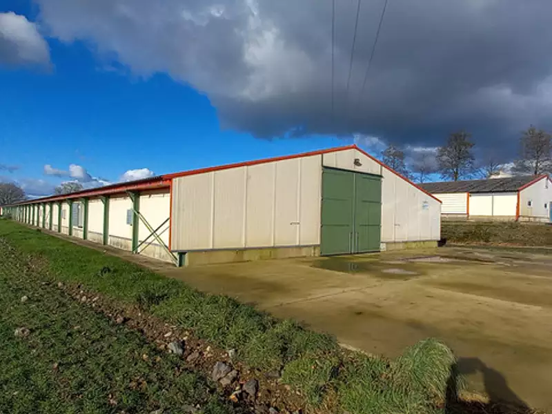 Maison, 110 m²