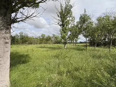 Terrain, 3 800 m²