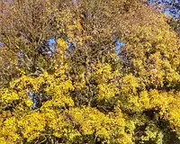 Terrain, 697 767 m²