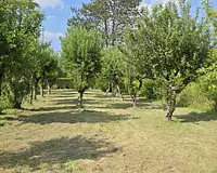 Maison, 219 m²