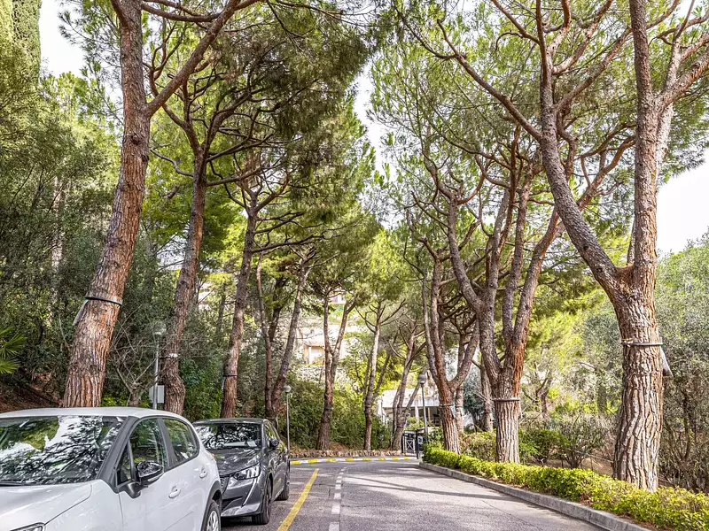 Appartement, 15,92 m²