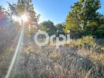 Terrain, 36 920 m²