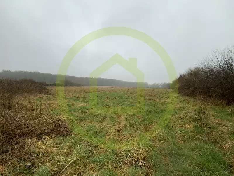 Terrain, 199 600 m²