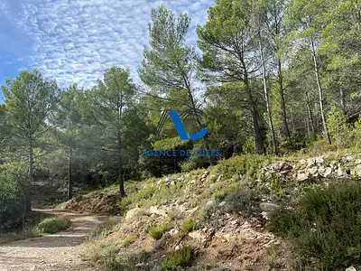 Terrain, 30 000 m²