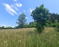 Terrain, 941 m²