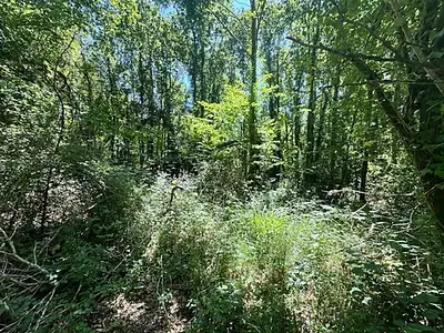 Terrain, 7 145 m²