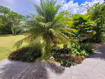 Maison, 160 m²