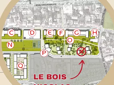 LE BOIS NICOLAS