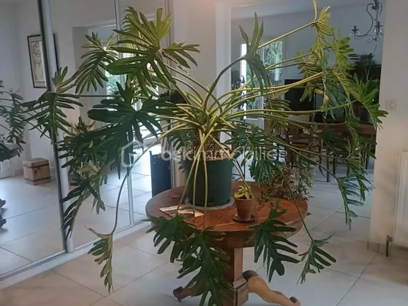 Maison, 145 m²