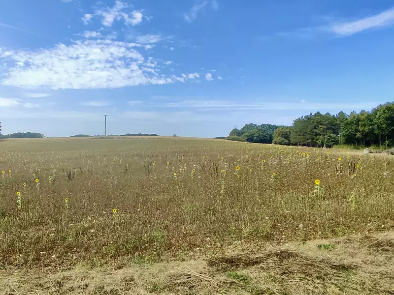 Terrain, 2 000 m²
