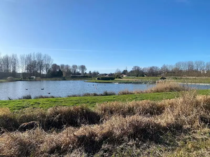 Terrain, 1,6 m²