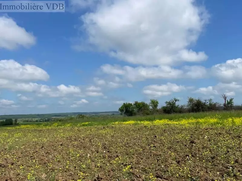 Terrain, 746 m²