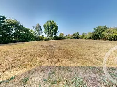 Terrain